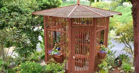 In December, my husband built me a lath house to allow me to grow plants that require more shade than my open garden spaces provide.  I move... Pittosporum Silver Sheen, Golden Celebration Rose, Lath House, English Laurel, Laurel Hedge, Repotting Orchids, Open Garden, Plant House, Grow Plants