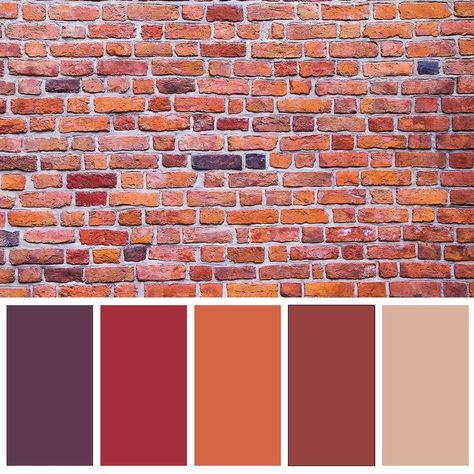 Red Color Pallets, Kitchen Color Palettes, Red Colour Palette, Red Orange Color, Color Palette Bright, Carlo Scarpa, Brick Colors, Design Seeds, Color Balance