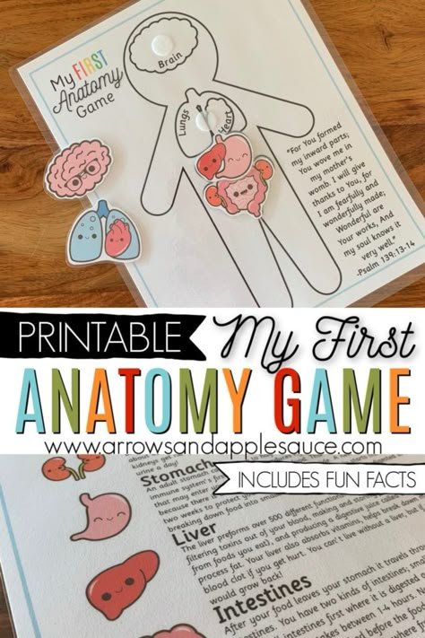 Human Body First Grade, Body Activities For Preschool, Anatomy Games, Human Body Activities For Kids, Human Body Homeschool, Printable Matching Game, Anatomy For Kids, Human Body Activities, Human Body Unit