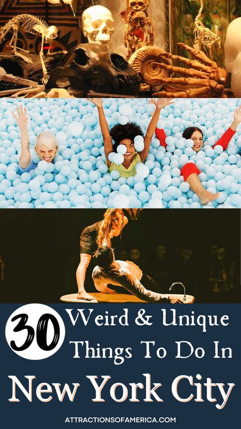 30 Weird and Unique Things To Do in New York City. New York Activities, Things To Do In Nyc, To Do In New York, Cool Things To Do, New York Travel Guide, Senior Trip, Hidden Places, New York City Travel, Unusual Things