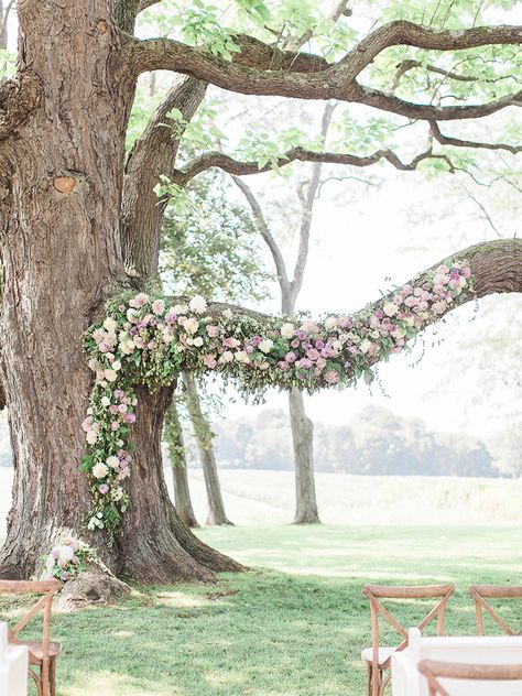 Tree Branch Wedding, Wedding Branches, Beautiful Outdoor Wedding, Outdoor Wedding Inspiration, Wedding Arbour, Grass Wedding, Reception Details, Flower Inspiration, White Wedding Flowers