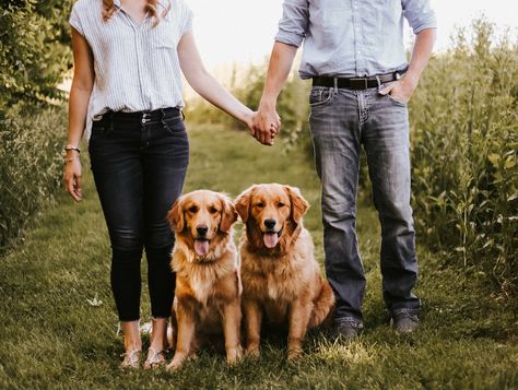 Two Dog Family Photo, Couple With 2 Dogs Photography, Fall Portraits With Dog, Family Photo With Pets Dogs, Family Portrait With Dog Ideas, Maternity Family Photos With Dog, Family Pic With Dog Ideas, 2 Dogs And Owner Photography, Puppy Photoshoot Ideas Fall