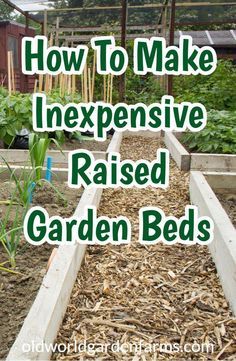 Gardens With Raised Beds, Raised Garden Beds Ideas Layout, Inexpensive Raised Beds, Inexpensive Raised Garden Beds, Gardening Drawing, Kitchen Gardening, Vegetable Garden Raised Beds, Building A Raised Garden, Diy Raised Garden