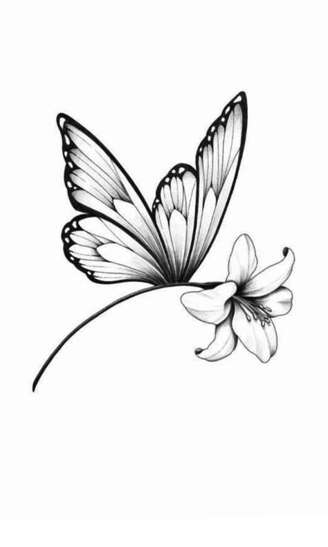 Feather And Butterfly Tattoo, Fineline Butterfly, Butterfly Tattoos Images, Lily Flower Tattoos, Japanese Flower Tattoo, Rose Drawing Tattoo, Realistic Tattoo Sleeve, Orchid Tattoo, Butterfly Tattoos For Women