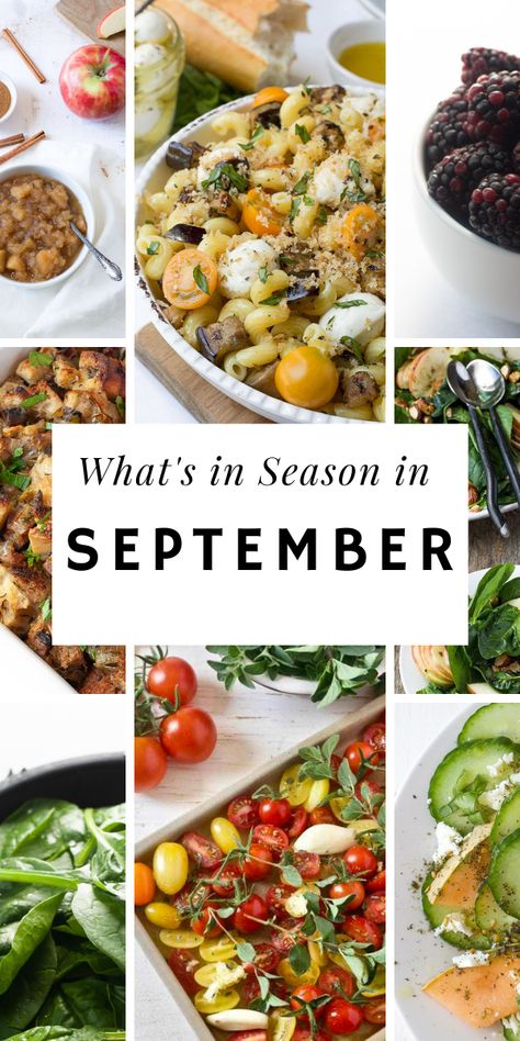 Check out what's in season in September with our seasonal produce guide #seasonalproduce #septemberproduce #mediterraneandietinfo #fallrecipes #latesummerrecipes #tomatorrecipes #cucumberrecipes #eggplantrecipes September Veggies In Season, What’s In Season September, September Seasonal Food, Whats In Season September, September Vegetarian Meals, September In Season Produce, September Vegetables In Season, September Seasonal Produce, September Food Recipes