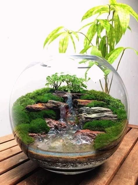 Best Terrarium Plants, Closed Terrarium Plants, Terrarium Scene, Bottle Plant, Wall Terrarium, Build A Terrarium, Diy Waterfall, Hanging Glass Terrarium, Indoor Water Garden