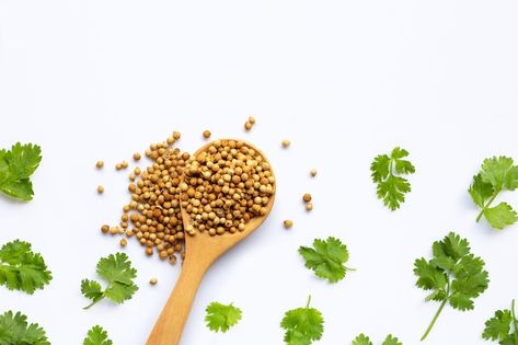 Photo coriander seeds with fresh leaves ... | Premium Photo #Freepik #photo #coriander #cilantro #parsley #coriander-leaves Cilantro Parsley, Coriander Leaves, Coriander Seeds, Premium Photo, Cilantro, Parsley, Seeds, Stock Photos, White