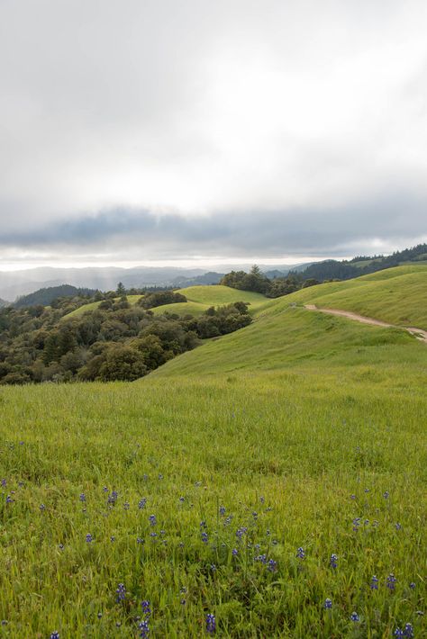 Calming View, Greenery Landscape, Open Landscape, Environment Photography, Calm Nature, Calming Nature, Places In California, Spring Wildflowers, Countryside House