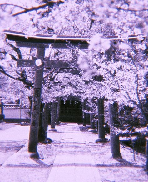 Purple Library Aesthetic, Japanese Temple Aesthetic, White Japanese Aesthetic, Purple Library, Temple Aesthetic, Aesthetic Lavender, Sun Halo, Purple Aesthetics, Aesthetic Grey