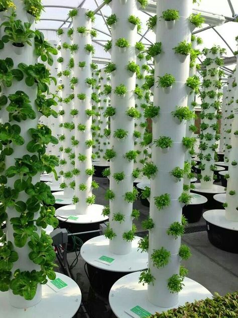 Tower garden Aeroponic Tower, Vertical Hydroponics, Kebun Herbal, Hydroponic Vegetables, Tanaman Air, Taman Diy, Tanaman Pot, Jardim Diy, Hydroponic Farming