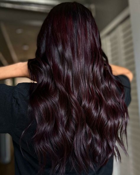 Blackish Red Hair Color, Faded Maroon Hair, Midnight Cherry Hair Color, Violet Burgundy Hair Color, Rich Dark Hair With Highlights, Hair Color For Light Medium Skin Tone, Cranberry Brown Hair, Raspberry Chocolate Hair Color, Dark Wine Colored Hair