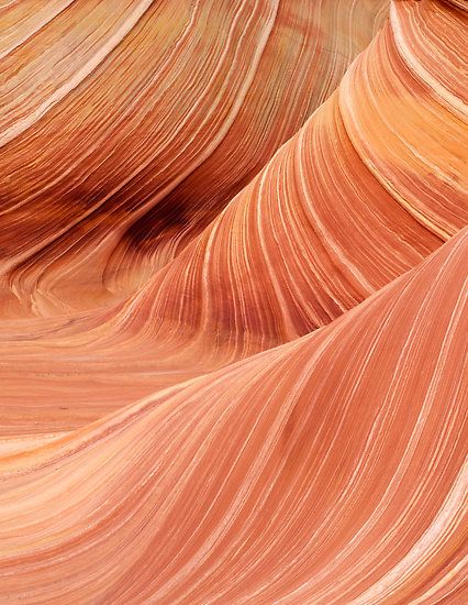 Close-up section of 'The Wave' in the Coyote Buttes section of the Vermillion Cliffs National Monument in Northern Arizona. The Wave Arizona, Sandstone Rock, Coyote Buttes, Paria Canyon, Vermillion Cliffs, Visit Oregon, Wave Rock, Bedroom Redesign, Northern Arizona