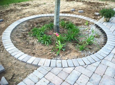 s 15 ways concrete pavers can totally transform your backyard, concrete masonry, curb appeal, outdoor living, Beautify the edging all over your yard Pavers Over Concrete, Diy Pathway, Diy Patio Pavers, Walkway Design, Outdoor Walkway, Paver Walkway, Stone Walkway, Concrete Pavers, Patio Makeover