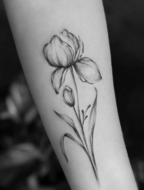 Iris Tattoo Sleeve, Iris Tattoo Arm, Black And White Iris Tattoo, Black Iris Tattoo, Iris Tattoo Black And White, Iris Flower Tattoo Black, Blue Iris Tattoo, Simple Iris Tattoo, Iris Flowers Tattoo