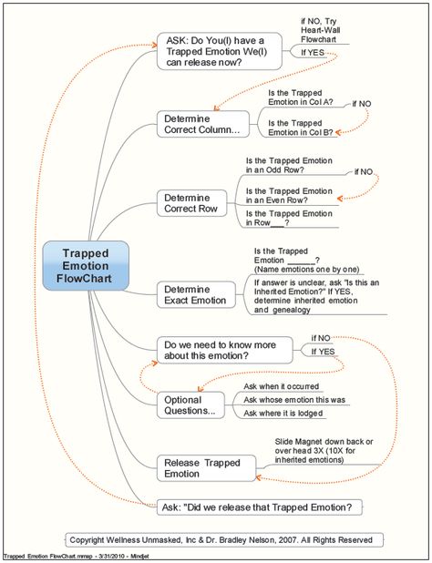 flowchart Trapped Emotions, Emotion Code, Body Code, Emotion Chart, Mindset Inspiration, Understanding Emotions, Access Consciousness, Beautifully Broken, Pendulum Dowsing