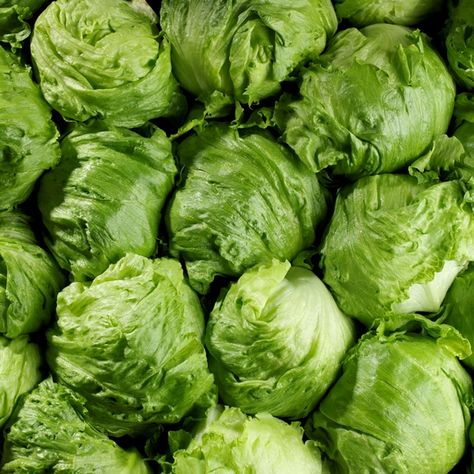 Nature's Reward Iceberg Lettuce Fridge Stocking, Chestnut Springs, Baby Background, Elsie Silver, Head Of Lettuce, Iceberg Lettuce, Phone Background, Fruits Vegetables, Lettuce