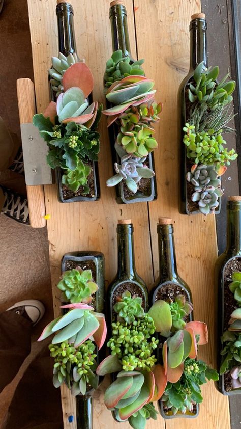 Plants In Wine Bottles, Wine Bottle Succulent Planter, Wine Glass Succulent Planters, Glass Bottle Hanging Plant, Wine Bottle Bottle Flower Vase, Old Wine Bottles, Recycled Wine Bottles, Bottle Candles, Plant Projects