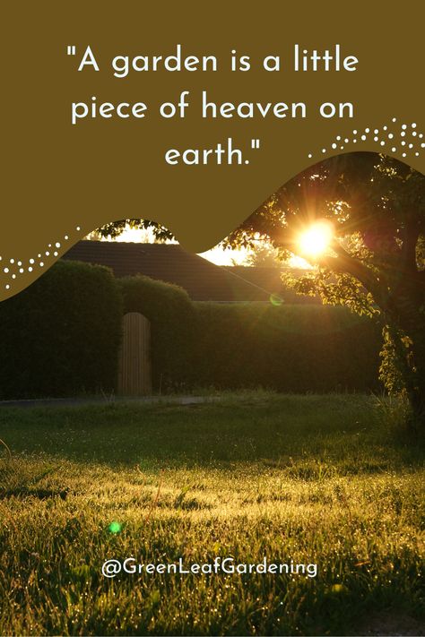 Inspirational quotes for garden | Inspirational quotes for gardeners | Green Leaf Gardening | Garden Design | Gardening Aesthetics. Discover a green oasis of motivation with our handpicked collection of Inspirational Quotes for Gardeners. Get inspired to nurture your garden sanctuary with these empowering garden quotes. 🌿🌼 #GardenInspiration #GardenQuotes #InspirationalGardening #GreenThumbs #GardenersParadise If you want to known or learn about gardening so visit the link in bio. Garden Captions, Quotes About Gardening, Gardening Quotes Inspirational, Hobbies Quote, Womens Bible, Garden Sanctuary, Gardening Quotes, Abstract Art Images, Deck Porch