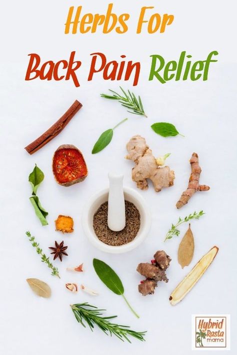 Got back pain? Looking for natural ways to get rid of back pain or reduce back pain? Let's look at herbs for back pain relief and how to safely use them. We'll talk back pain prevention too. #backpain #herbs #backpainrelief From HybridRastaMama.com  via @hybridrastamama Nature Ideas, Colon Health, Home Remedy For Cough, Cough Remedies, Colon Cleanse, Sensory Activities, Natural Medicine, Baby Cold, Herbal Medicine