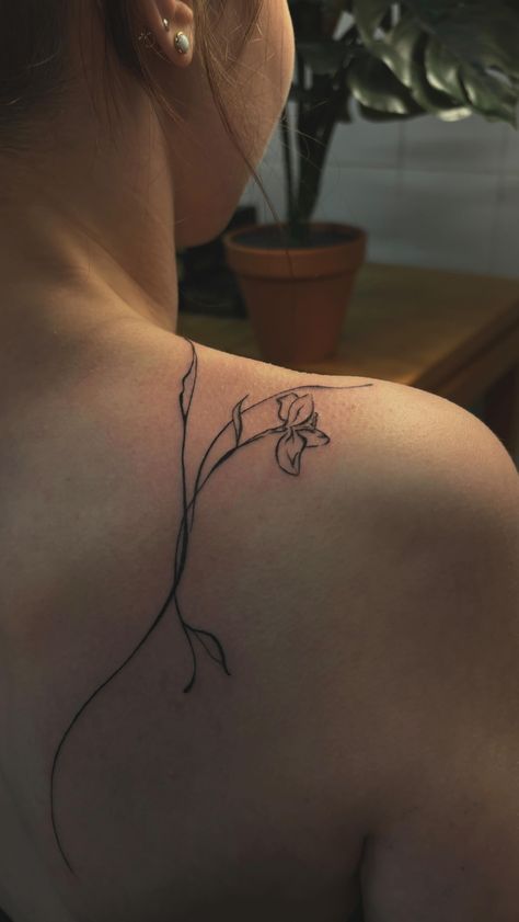 Naomi ❊ | botanical flow for @kaira.wlf 🌿💌 #tattoo #tattooideas #tattoomunich #tattoomünchen #tattooartist #finelinetattoos #blackandgreytattoos… | Instagram Shoulder Branch Tattoo, Lilly Line Drawing, Line Art Back Tattoo, Fine Line Magnolia Tattoo, Botanical Flow Tattoo, Simple Violet Flower Tattoo, Flowy Tattoo Design, Line Design Tattoo, Flowing Tattoos