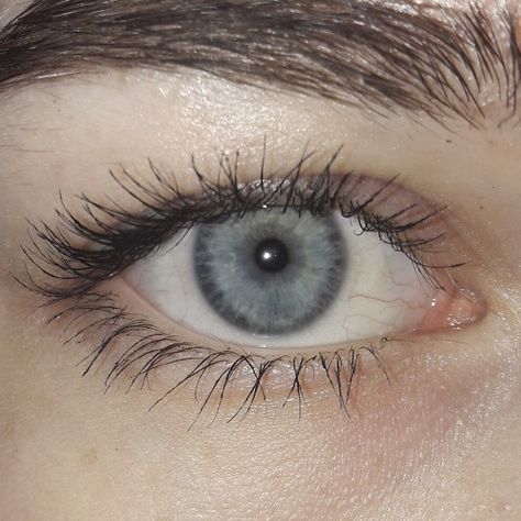 Different Eyes Colors, Pretty Grey Eyes, Natural Grey Eyes, Bluish Gray Eyes, Grayish Blue Eyes, Light Gray Eyes, Grey Blue Eyes Aesthetic, Greyish Blue Eyes, Gunmetal Blue Eyes