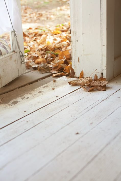 Is when the leaves wait at the back door, waiting for an opportunity to scurry in Leaves On The Ground, Camp Wandawega, White Autumn, Autumn Cottage, Autumn Love, Seasons Autumn, Love Autumn, Autumn Days, Open Door