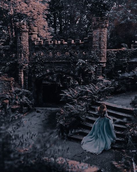 Fairy Tale Aesthetic, Cinderella Aesthetic, Era Victoria, Royal Core, Fairytale Aesthetic, Medieval Aesthetic, Castle Aesthetic, Queen Aesthetic, Royalty Aesthetic