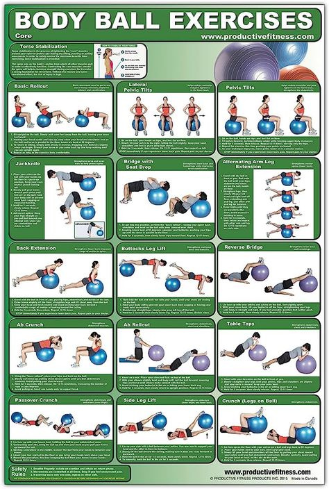 Core Muscle Exercises, Swiss Ball Exercises, Workout Programs For Women, Stability Ball Exercises, Exercise Physiology, Balance Ball, Workout Posters, Stability Ball, Workout Chart