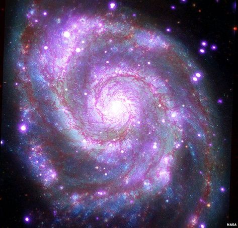 Images Of Stars, Nasa Galaxy, Astronomy Telescope, Stars And Galaxies, Eagle Nebula, Whirlpool Galaxy, Star Formation, X Rays, Spiral Galaxy