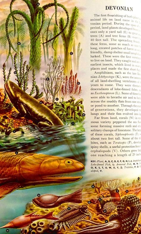 From 1965 World-Book Year-Book If you enjoy art, I invite you to look up my book on Amazon titled: "Ludwig Richter: The Story Artist" If you enjoy history and thinking you will enjoy "Annotated Astrologaster" originally published in 1620. Encyclopedia Book Cover, Devonian Period, Story Artist, Mushroom Encyclopedia, Encyclopedia Of Fairies, Britanica Encyclopedia, Chi Rho, World Book Encyclopedia, Book Pictures