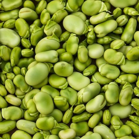 lima beans High Protein Vegetables, Healthy Beans, Types Of Beans, Lima Bean, Lima Beans, High Fiber Foods, Fiber Foods, High Fiber, Edible Garden