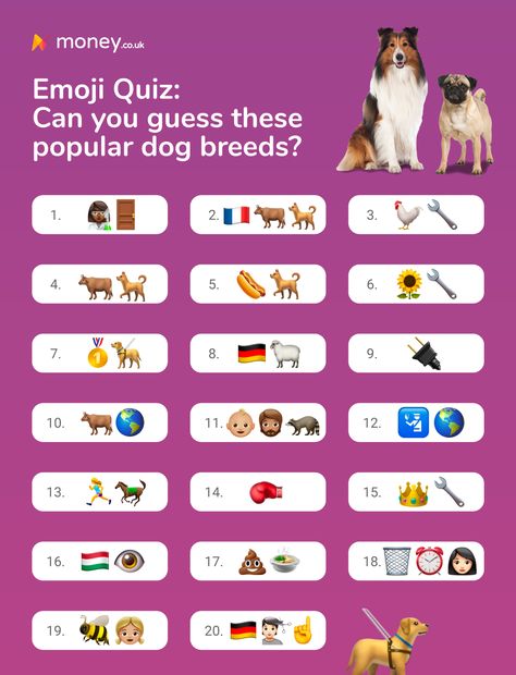 Emoji quiz! Can you guess the 20 dog breed from the icons? Dog Breed Quiz, Dog Quiz, Pet Store Ideas, Curiosity Approach, Dog Emoji, Emoji Quiz, Dog Walking Business, Emoji Set, Waterproof Dog Coats