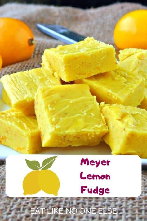 How to Make Real Lemon Fudge - Eat Like No One Else Lemon Fudge Recipe, Lemon Fudge, Meyer Lemon Recipes, How To Make Fudge, Keto Fudge, White Chocolate Fudge, Citrus Recipes, Baking Goods, Candied Lemons