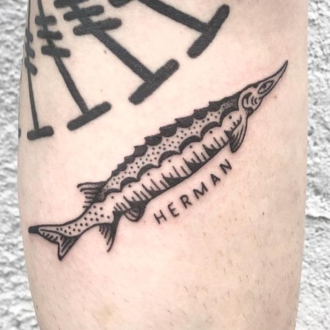 Herman the sturgeon for Tiff! Thanks so much friend! 🖤🙏🖤 Sturgeon Fish Tattoo, Sturgeon Drawing, Sturgeon Illustration, Sturgeon Tattoo, Aquarius Outfits, Light House Tattoo, Shrimp Tattoo, Sturgeon Fish, Character Customization