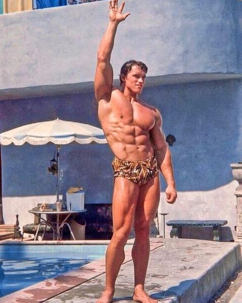 Arnold Schwarzenegger (1975) 💪 Arnold Aesthetic, Arnold Schwarzenegger Body, Arnold Schwarzenegger Muscle, Arnold Bodybuilding, Old Bodybuilder, Arnold Schwarzenegger Bodybuilding, Schwarzenegger Bodybuilding, Bodybuilding Pictures, Best Physique