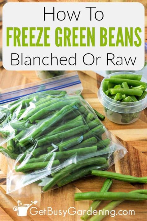 Freezing Green Beans, Cooking Frozen Green Beans, Preserving Green Beans, Freezing Food Guide, Freeze Beans, Cooking Fresh Green Beans, Preserving Vegetables, Blanching Green Beans, French Green Beans