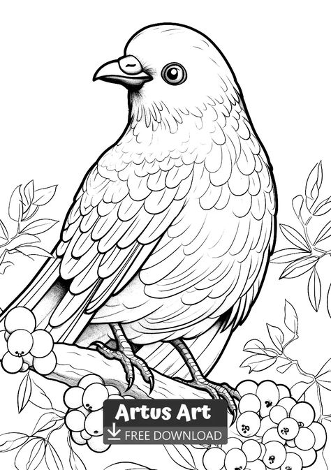 Bowerbird Coloring Page - Free PDF Download Coloring Page. Look at this amazing Awesome Bald eagle. Grab your colored pencils and get your free copy of this coloring page. #freedownload #bowerbirdcoloringpage #bowerbird Bird Coloring Pages For Adults, Birds Coloring Pages Free Printable, Embroidery Birds, Coloring Page Free Printable, Bird Coloring Pages, Bird Quilt, Floral Chandelier, Fall Coloring Pages, Printable Adult Coloring Pages