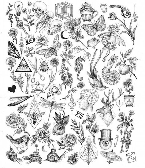 I have just released a strictly limited run of 30 prints of these A3 flash sheets now available on my BigCartel. Printed on 308gsm Hahnemuhle Bamboo paper. Worldwide shipping  annitamaslov.bigcartel.com Tattoo Filler Ideas, Flash Art Tattoos, Stick Poke, Nature Calendar, Flash Sheets, Petit Tattoo, Art Flash, Tattoo Filler, Kunst Tattoos