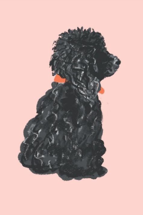 Insta highlight cover icons Black Poodle Illustration, Black Miniature Poodle, Personalised Illustrations, Insta Highlight Cover Icons, Miniature Poodle Black, Social Media Illustration, Insta Highlight Cover, Poodle Drawing, Turtle Watercolor