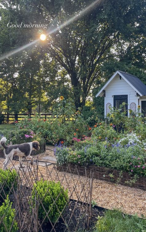 Simple Farm Life Aesthetic, Mini Horse Farm, Little Farm Aesthetic, Crops Aesthetic Farm, Building A Farm, Cute Farm Aesthetic, Small Farm Life, Farm Work Aesthetic, Hobby Farm Aesthetic