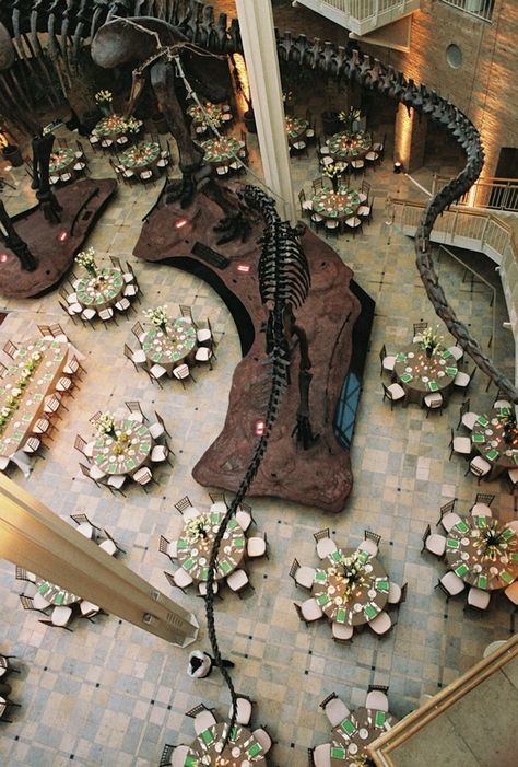 Dinosaur Wedding Theme, Jurassic Wedding, Natural History Museum Wedding, Dinosaur Wedding, Aquarium Wedding, Florida Wedding Venues, Brides And Grooms, Natural History Museum, Future Wedding Plans