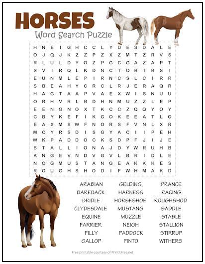 Fun Horse Riding Games, Horse Camp Games, Horse Camp Ideas, Horse Activities, Free Word Search Puzzles, Horse Clip Art, Mom Coloring Pages, Saddle Club, Summer Camp Themes