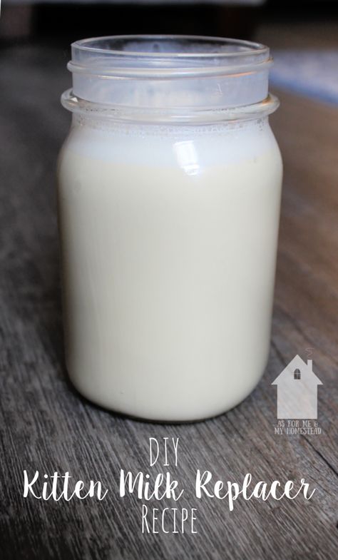 Kitten Milk Replacer Recipe, Kitten Formula Recipe, Milk Bottle Diy, Kitten Stuff, Evaporated Milk Recipes, Feeding Kittens, 4 Kittens, Milk Replacement, Kitten Formula