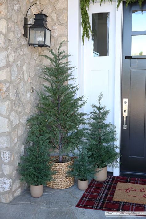 Porch Christmas Tree, Christmas Tours, Christmas Front Doors, Christmas Front Porch, Christmas Porch Decor, Porch Christmas Decor, Front Porch Christmas, Golden Gate Park, Paper Ideas