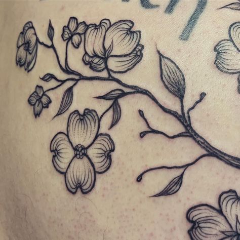 Dogwood Tattoo Design, Pacific Dogwood Tattoo, Dogwood Tree Tattoo, Dogwood Flower Tattoo, Dogwood Tattoo, Dogwood Flower Tattoos, Dogwood Branch, Wood Tattoo, Dogwood Branches