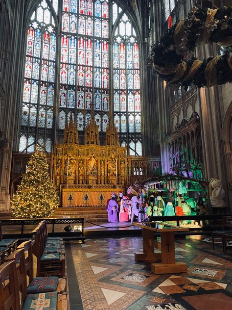 #cathedral #christmas #christmasdecor #christmastree #cotswolds Cathedral Christmas, Cathedral Photography, Gloucester England, Gloucester Cathedral, Gloucester, Christmas Decorations, England, Christmas Tree, Christmas