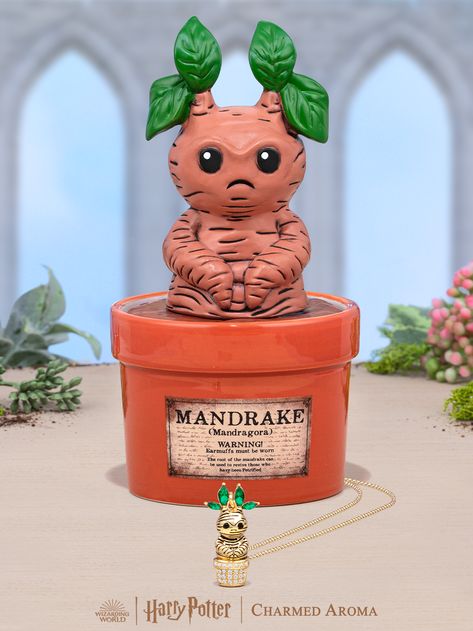 Collabs Hogwarts Candles, Harry Potter Mandrake, Chocolate Scented Candles, Harry Potter Necklace, Charmed Aroma, Jewel Candles, Harry Potter Charms, Christmas Tree Scent, It Works Products