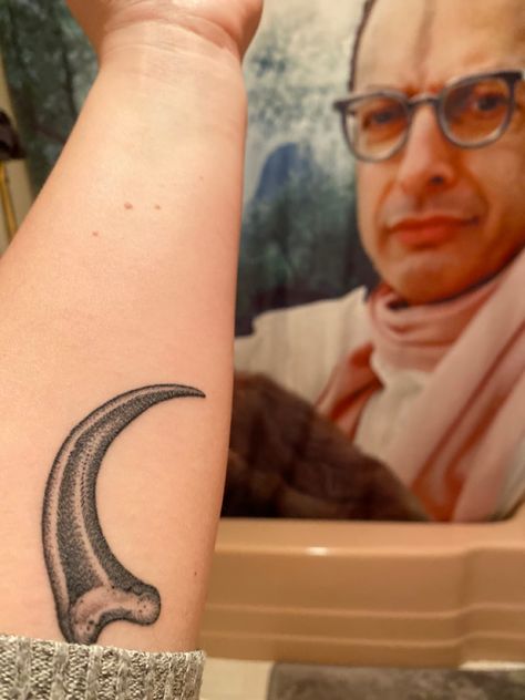 Jeff Goldblum Tattoo, Dinosaur Claw Tattoo, Velociraptor Claw Tattoo, Velociraptor Skeleton Tattoo, Teradactyl Tattoo, Life Finds A Way Tattoo, Velociraptor Tattoo Small, Archaeopteryx Tattoo, Raptor Claw Tattoo