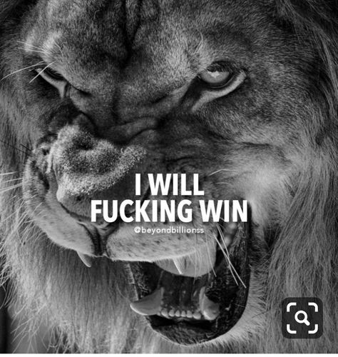 Warrior Motivation, Motivational Quotes For Men, Ambition Quotes, Lion Quotes, Wolf Quotes, Warrior Quotes, Success Motivation, Men Quotes, Strong Quotes