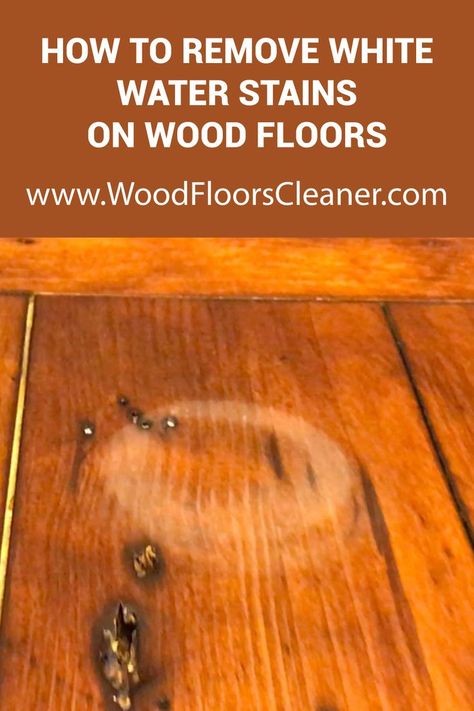 Water stains on wooden floors and furniture can make you think it’ll never be redeemable, and it is stuck like that forever. But, there are some ways that you can redeem your wooden household items and flooring that can be easily done. There are cleaning products, cleaning hacks, and simple fast-acting solutions as soon as you see the water hit that wood. Cleaning Laminate Wood Floors, Water Stain On Wood, Staining Wood Floors, Bamboo Wood Flooring, Refinish Wood Floors, Remove Water Stains, How To Clean Laminate Flooring, Old Wood Floors, Wood Floor Cleaner